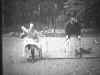 image016.jpg (47685 octets)