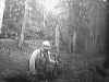 image018.jpg (74929 octets)