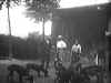 image066.jpg (49713 octets)